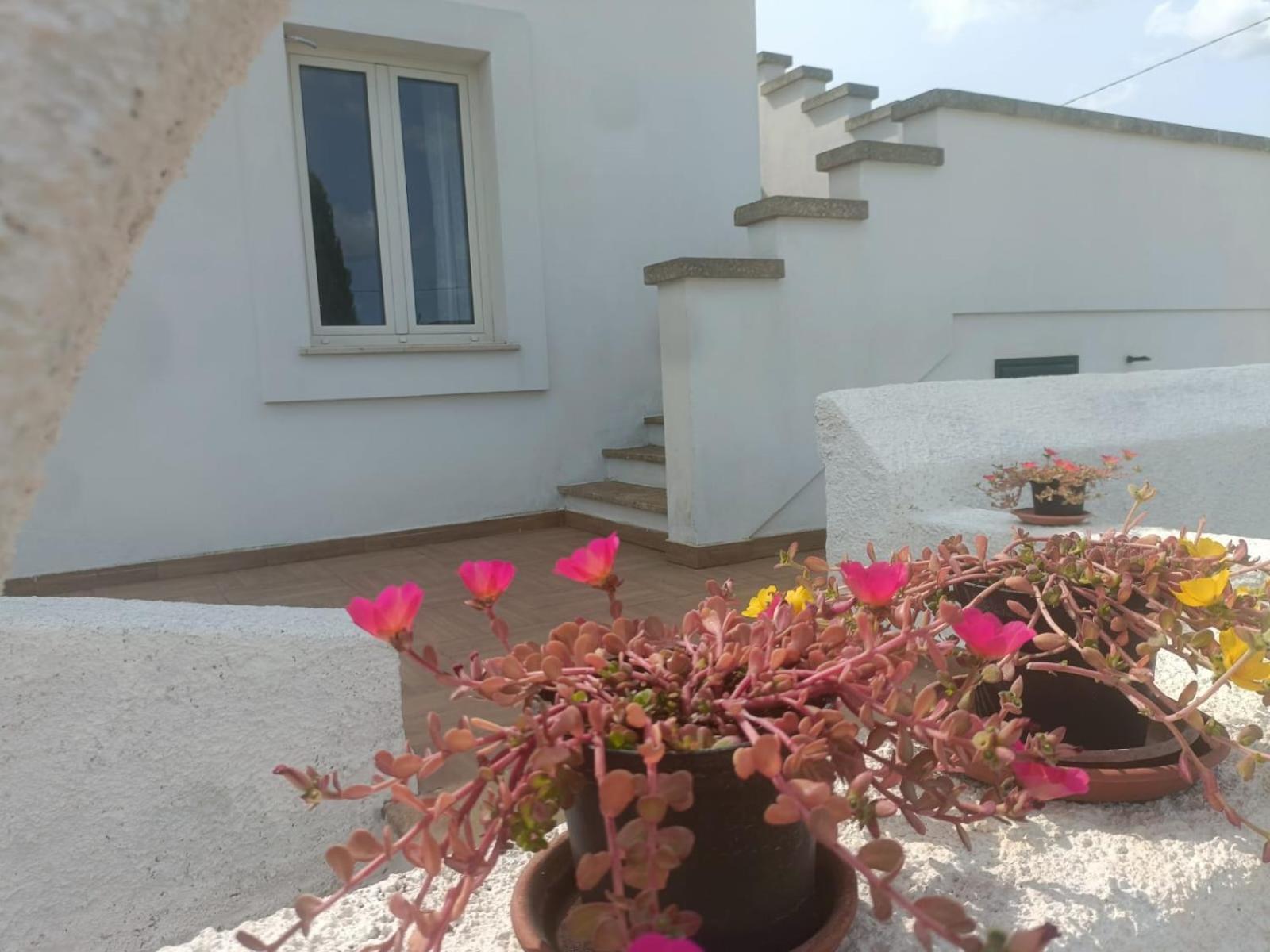 Villa Raffaella Spongano Exteriér fotografie